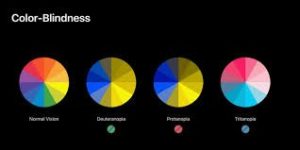 Four color charts on black background showing color contrast options.